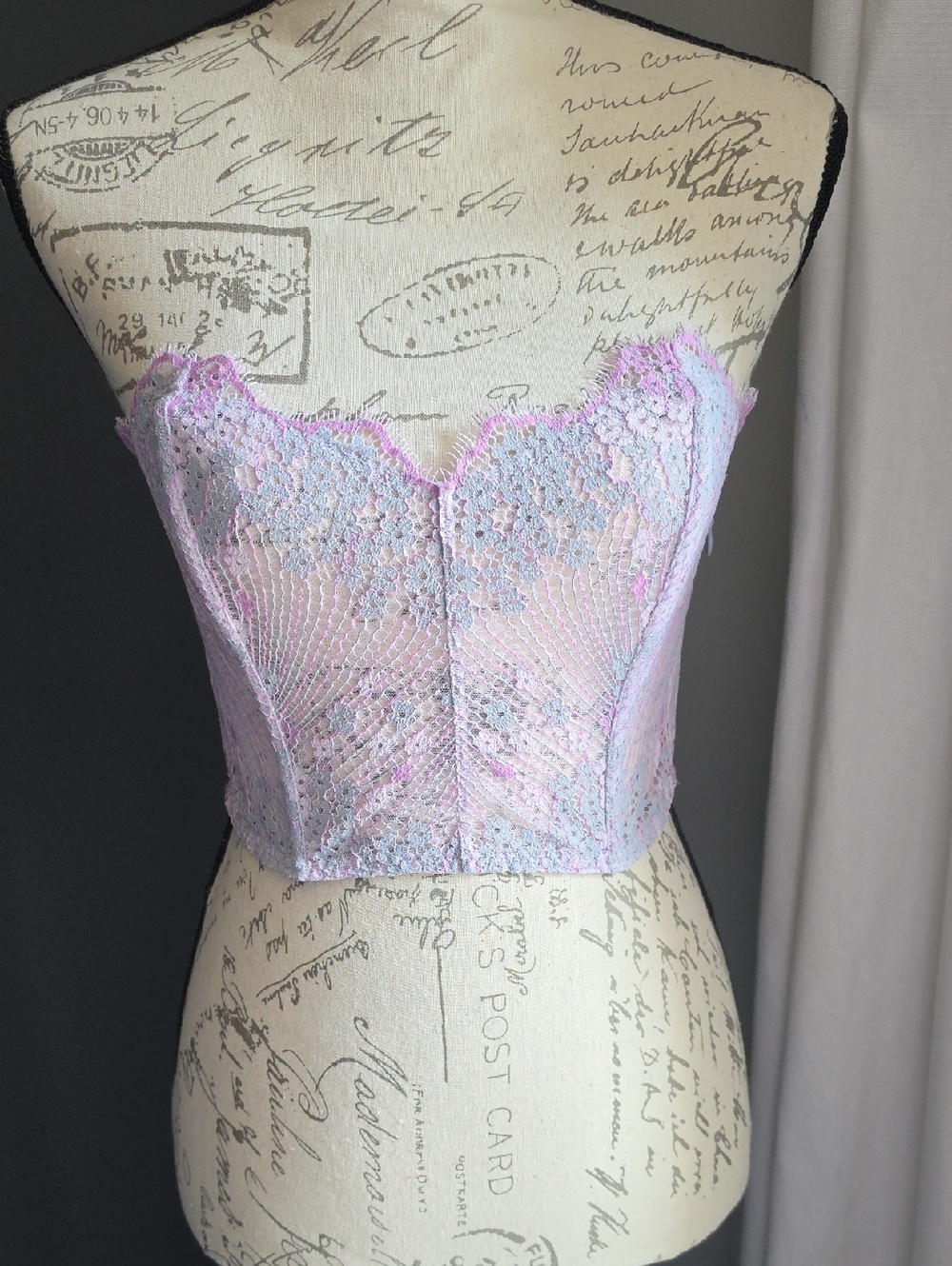 NWOT Lace Bustier Crop Top in Pastel Purple and Blue